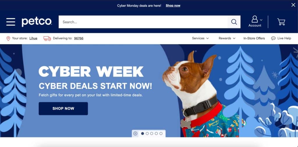 Petco's Black Friday promotion 