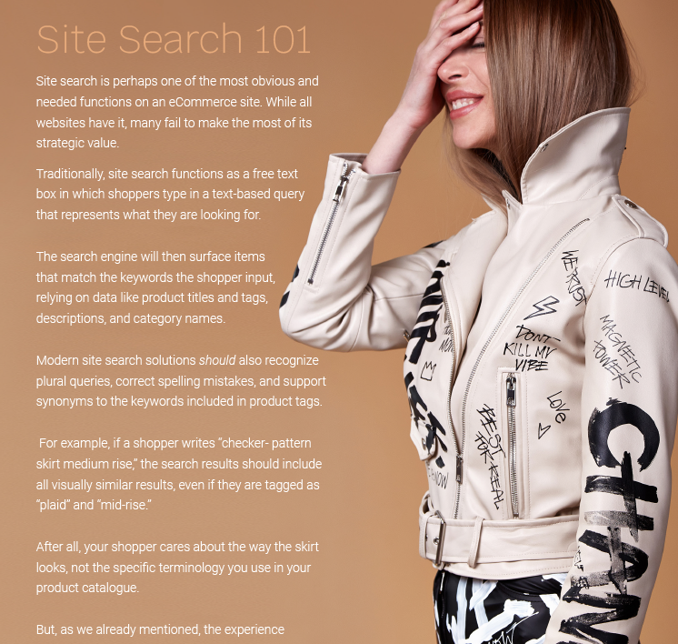 eCommerce site search