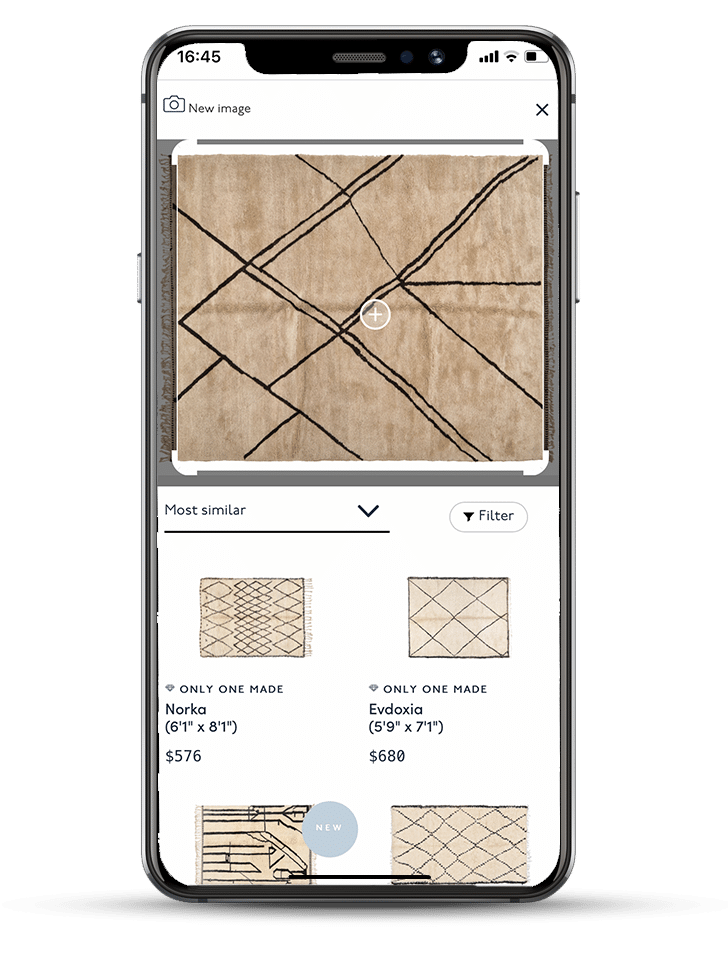 visual search on revival rugs