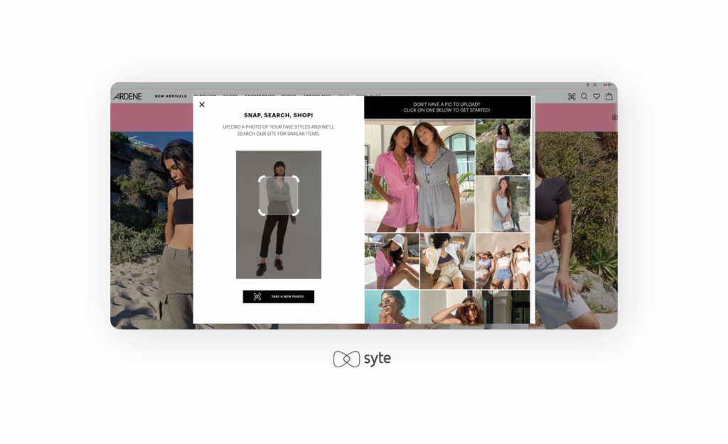 Ardene’s homepage and visual search tooltip